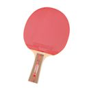 sensei-paleta---PING-PONG-4-STAR---Talle-U