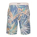 hang-loose-short----8208-HL-KAITO-ESTAMPADO---Talle-S